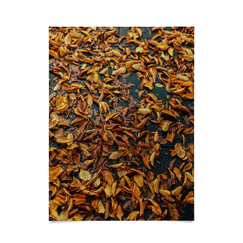 Hannah Kemp Fallen Down Poster