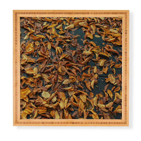 Hannah Kemp Fallen Down Framed Wall Art