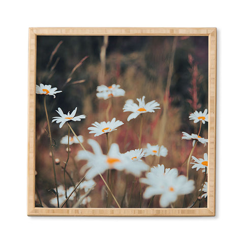 Hannah Kemp Field of Daisies Framed Wall Art