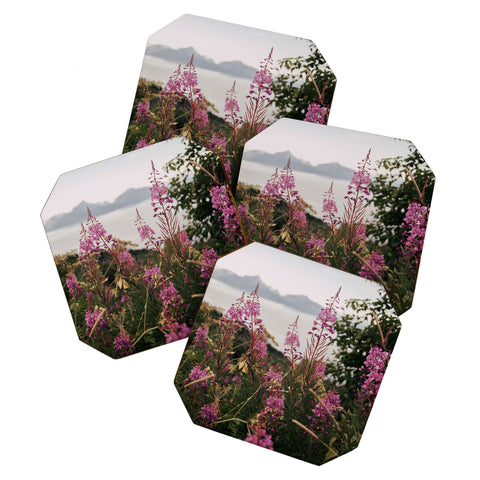 Hannah Kemp Fireweed Season Coaster Set