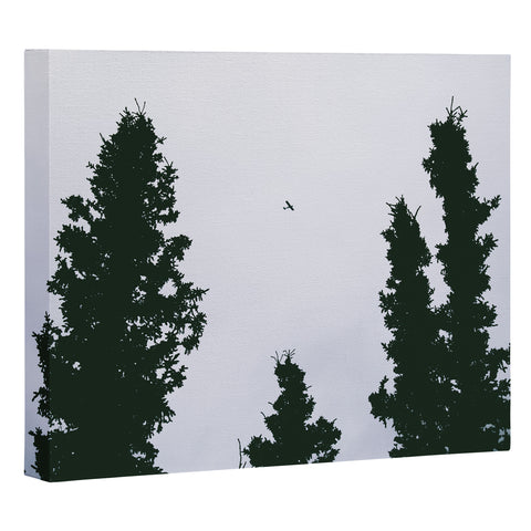 Hannah Kemp Flying Above Art Canvas