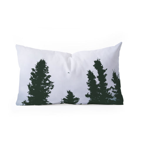 Hannah Kemp Flying Above Oblong Throw Pillow