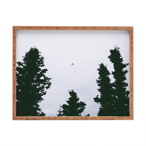 Hannah Kemp Flying Above Rectangular Tray