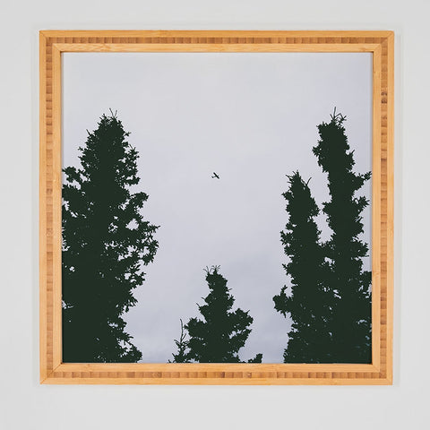Hannah Kemp Flying Above Framed Wall Art