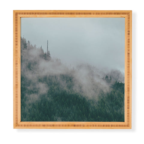 Hannah Kemp Foggy Woods Framed Wall Art