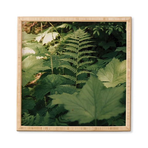 Hannah Kemp Forest Details Framed Wall Art
