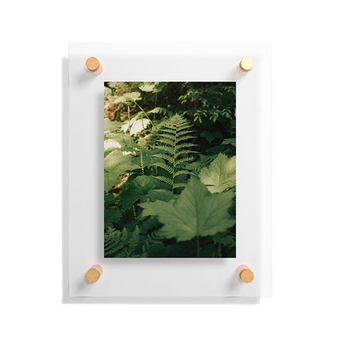 Hannah Kemp Forest Details Floating Acrylic Print