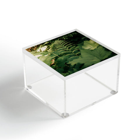 Hannah Kemp Forest Details Acrylic Box