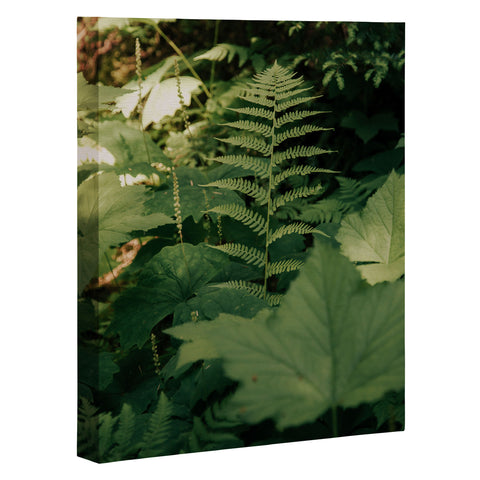 Hannah Kemp Forest Details Art Canvas