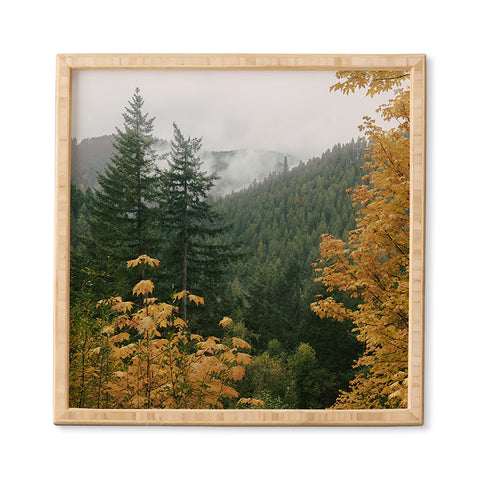 Hannah Kemp Forest Nature Landscape Framed Wall Art