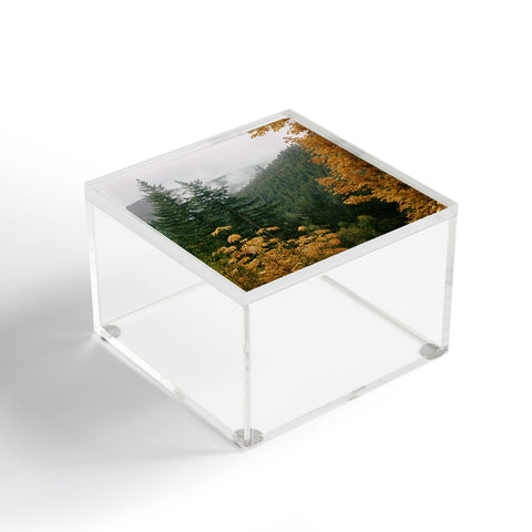Hannah Kemp Forest Nature Landscape Acrylic Box