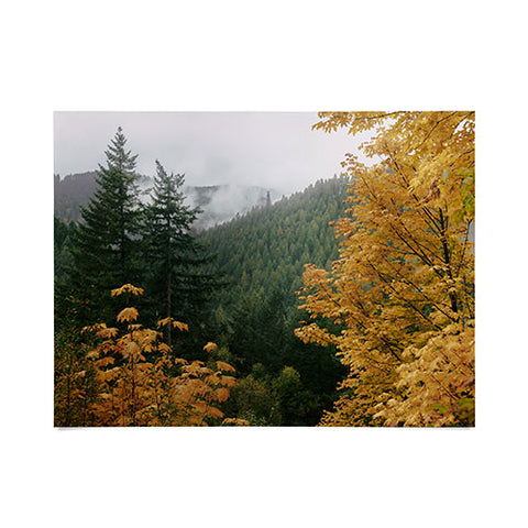 Hannah Kemp Forest Nature Landscape Poster