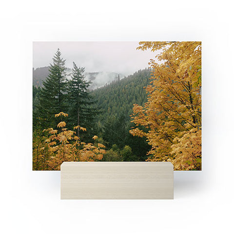 Hannah Kemp Forest Nature Landscape Mini Art Print