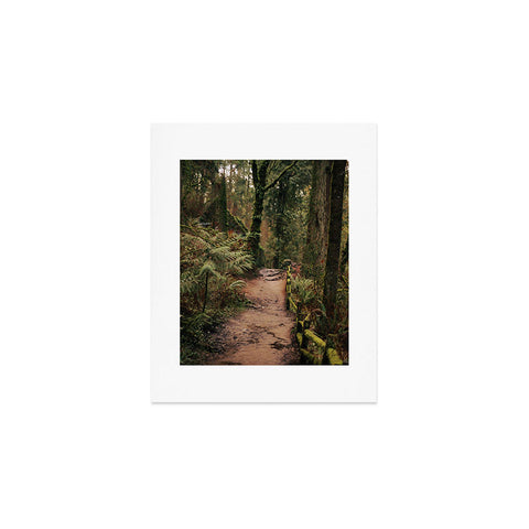 Hannah Kemp Forest Park Trail Art Print