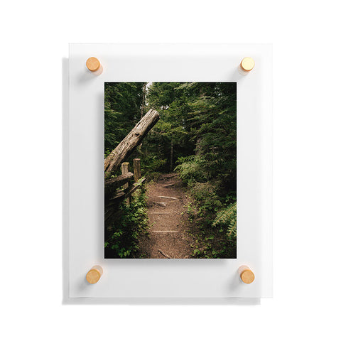 Hannah Kemp Forest Path Floating Acrylic Print