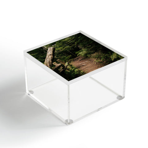 Hannah Kemp Forest Path Acrylic Box