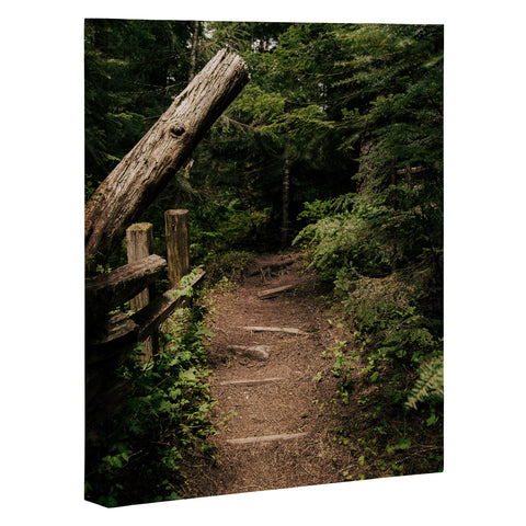 Hannah Kemp Forest Path Art Canvas