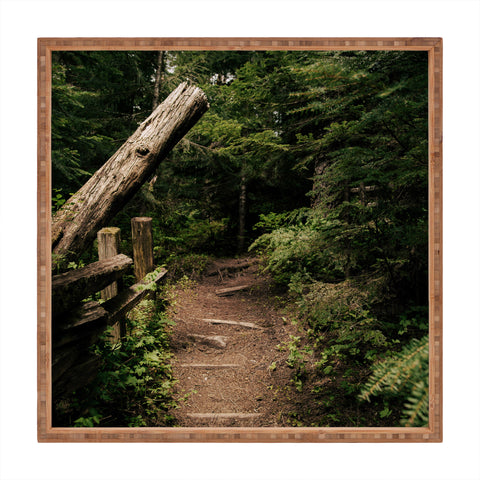 Hannah Kemp Forest Path Square Tray