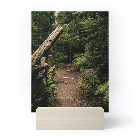 Hannah Kemp Forest Path Mini Art Print