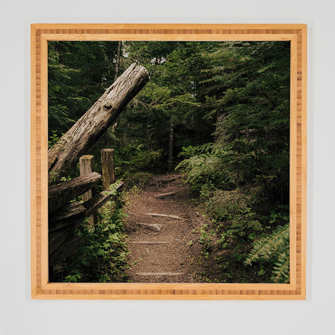Hannah Kemp Forest Path Framed Wall Art