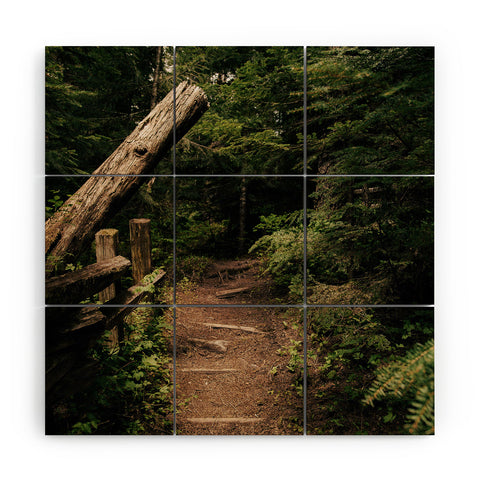 Hannah Kemp Forest Path Wood Wall Mural