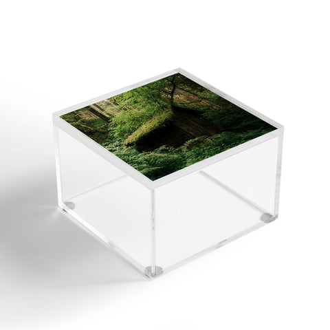 Hannah Kemp Forest Shack Acrylic Box