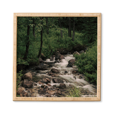 Hannah Kemp Forest Stream Framed Wall Art