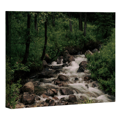 Hannah Kemp Forest Stream Art Canvas