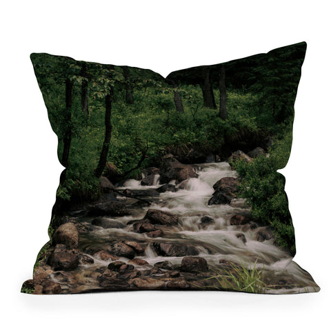 Hannah Kemp Forest Stream Outdoor Throw Pillow