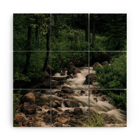 Hannah Kemp Forest Stream Wood Wall Mural