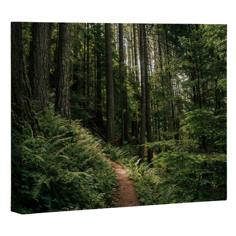 Hannah Kemp Forest Trail Art Canvas