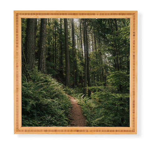 Hannah Kemp Forest Trail Framed Wall Art