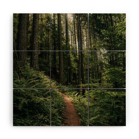 Hannah Kemp Forest Trail Wood Wall Mural