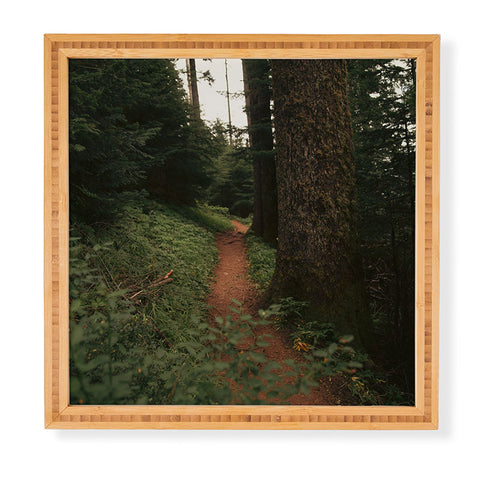 Hannah Kemp Forest Way Framed Wall Art