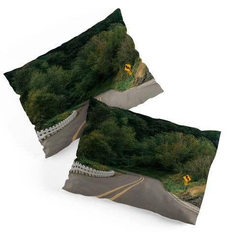 Hannah Kemp From the Road Pillow Shams