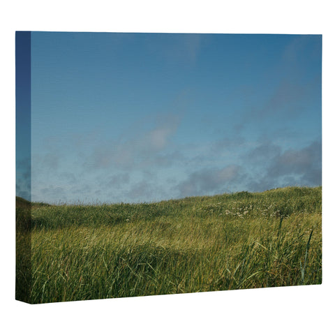 Hannah Kemp Grassy Field Art Canvas