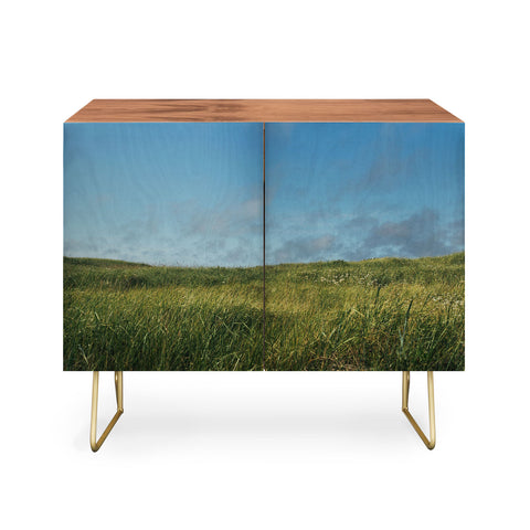 Hannah Kemp Grassy Field Credenza