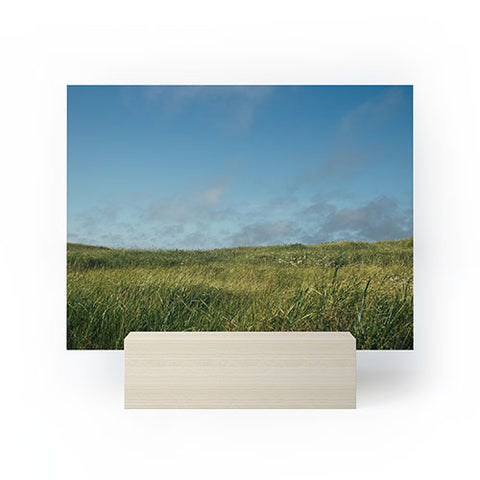 Hannah Kemp Grassy Field Mini Art Print