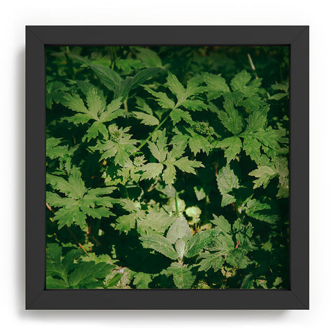 Hannah Kemp Green Details Recessed Framing Square