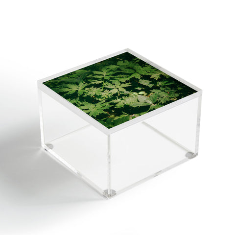 Hannah Kemp Green Details Acrylic Box