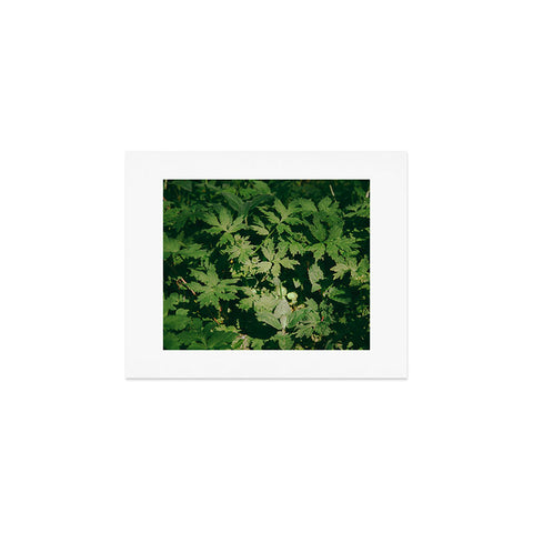 Hannah Kemp Green Details Art Print