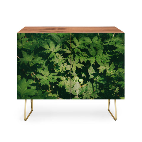 Hannah Kemp Green Details Credenza