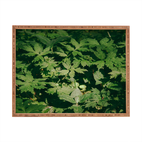 Hannah Kemp Green Details Rectangular Tray