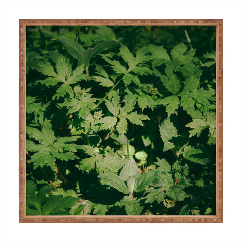 Hannah Kemp Green Details Square Tray