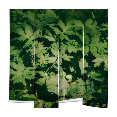 Hannah Kemp Green Details Wall Mural
