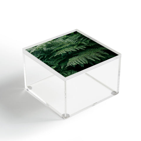 Hannah Kemp Green Ferns Acrylic Box