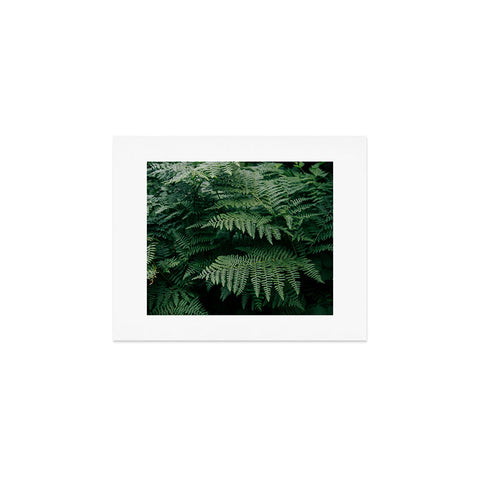Hannah Kemp Green Ferns Art Print
