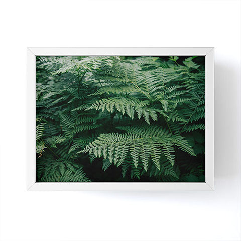 Hannah Kemp Green Ferns Framed Mini Art Print