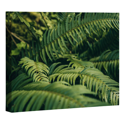 Hannah Kemp Green Ferns Photo Art Canvas