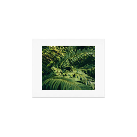 Hannah Kemp Green Ferns Photo Art Print